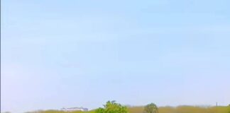 लक्ज़री बसों की हड़ताल से यात्रियों को हो रही है परेशानी